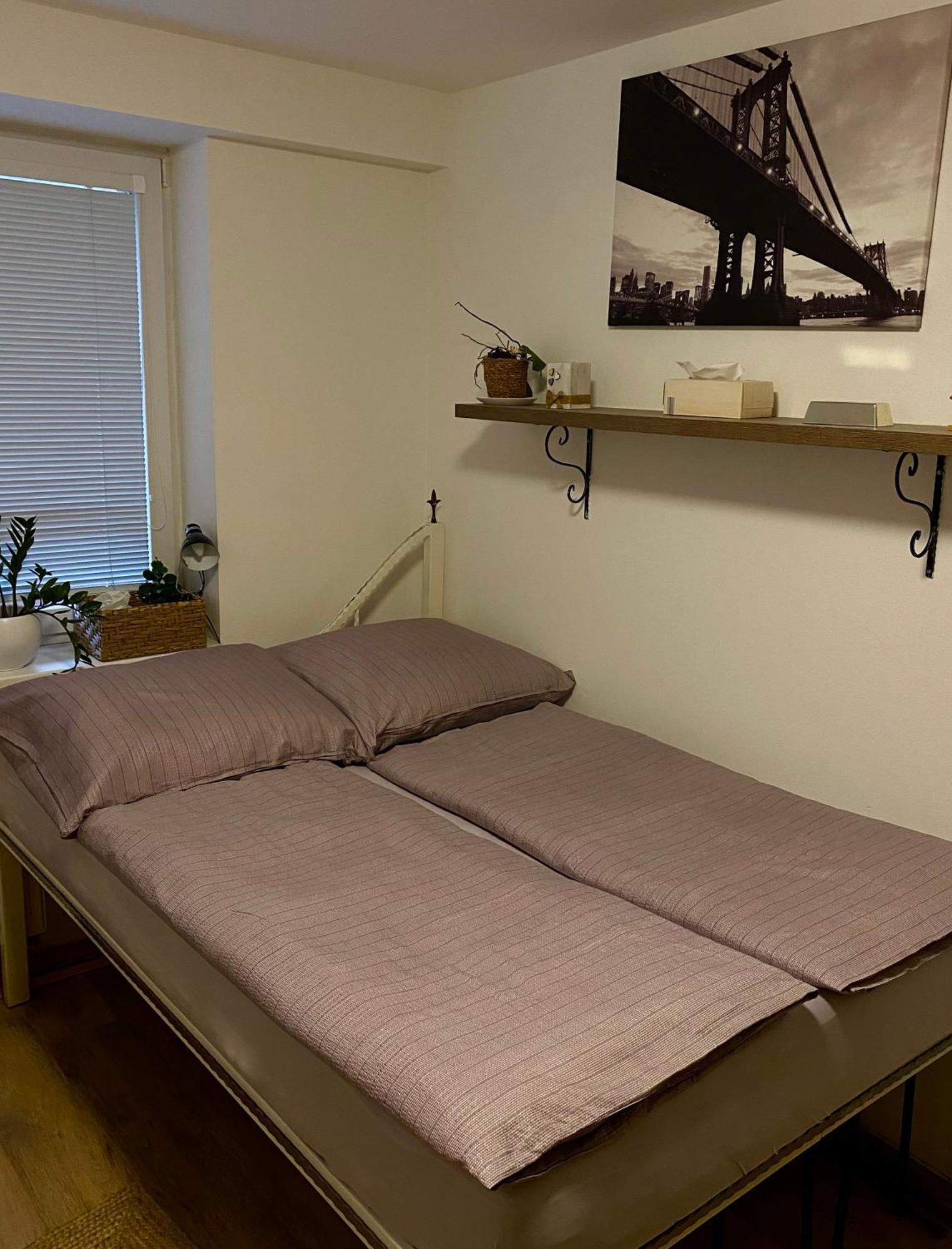 Апартаменти Apartman Slnecna Terasa S Vlastnym Parkovanim Na 2 Auta Жиліна Екстер'єр фото